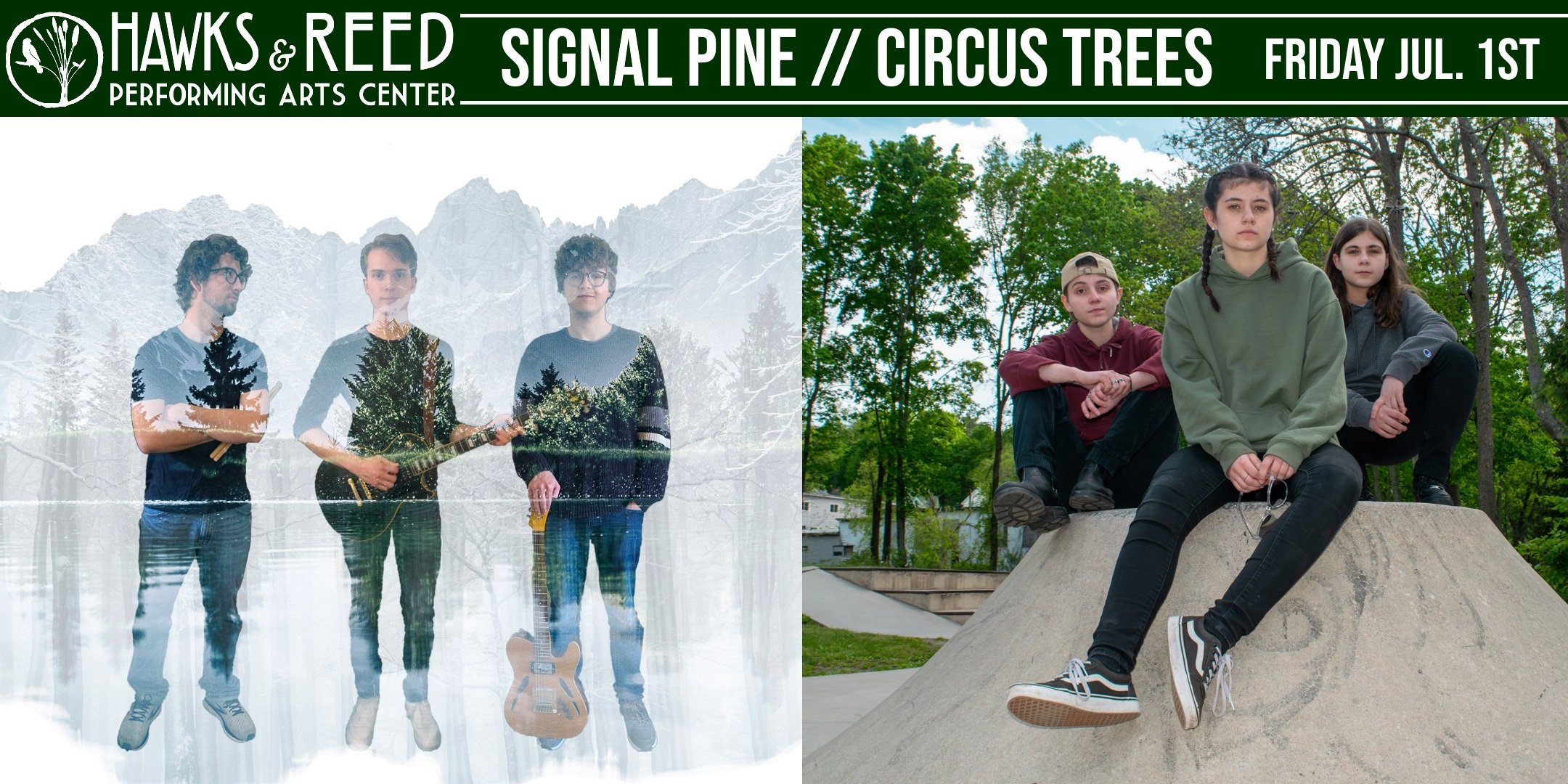Circus Trees with Signal Pine at Hawks & Reed